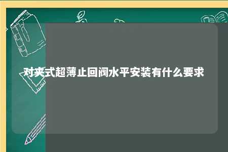 对夹式超薄止回阀水平安装有什么要求 